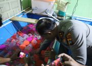 Direktorat Polairud Polda Babel Gagalkan 177.600 Benih Lobster Bernilai 35 Miliyar Lebih