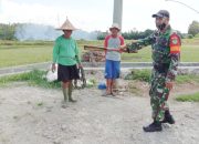Babinsa Koramil 2304/Anyar, Komsos Membahas Tentang Tanam Padi