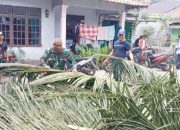 Babinsa Koramil 2303/Pulomerak, Karbak Membantu Pembersihan Ranting Pohon