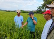 Demi Kesejahteraan Masyarakat Pemkab Jeneponto Tambahkan Kouta Pupuk Para Petani