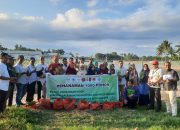 Pimpinan Daerah Muhammadiyah dan Asyiyah Takalar Tanam Seribu Pohon 