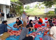 Idul Adha 1445 Hijriyah, PWI Babel Potong 13 Hewan Qurban