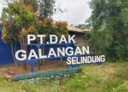 PT. Timah Kembali Diterpa Isu Bonanza Gate, Perkara Tipikor Baru?