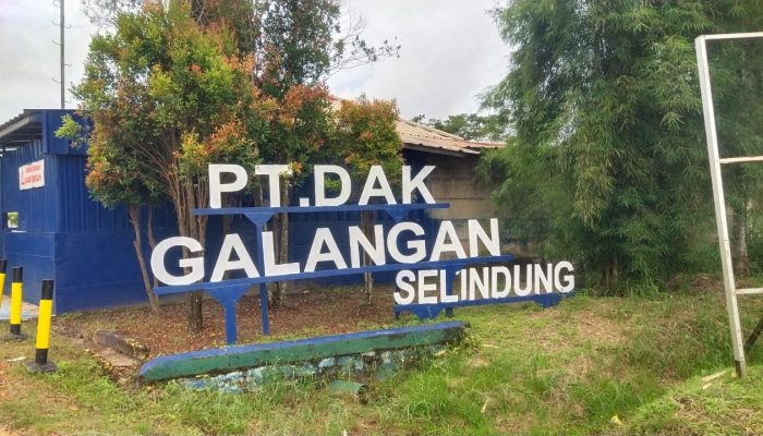 PT. Timah Kembali Diterpa Isu Bonanza Gate, Perkara Tipikor Baru?