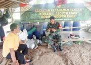 Babinsa Koramil 2301/Cilegon, Komsos Membahas Tentang Pembibitan Tanaman Palawija