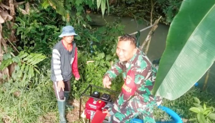 Babinsa Koramil 2305/Cinangka, Bintahwil Pendampingan Alsintan