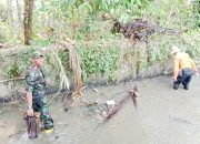 Babinsa Koramil 2305/Cinangka, Karbak Pembersihan Sungai