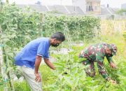 Babinsa Koramil 2306/Mancak, Bintahwil Perawatan Han Pangan