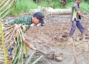 Babinsa Koramil 2303/Pulomerak, Karbak Pembuatan Pondasi Jalan