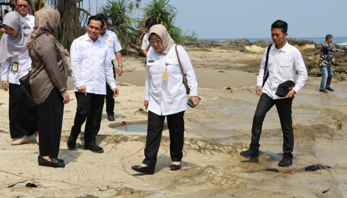 Tinjau Pantai Karangmeja, Plh Sekda Banten Ajak Masyarakat Jaga Warisan Alam di Kawasan Geopark Bayah Dome