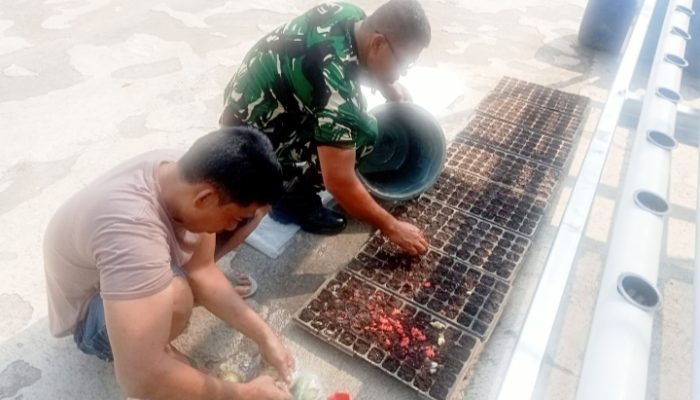 Babinsa Koramil 2301/Cilegon, Karbak Han Pangan Pepaya
