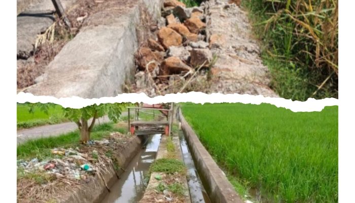 Pembangunan Saluran Irigasi P3A Matamu 2023 di Desa Parangmata Selesai dengan Persetujuan Pemilik Sawah