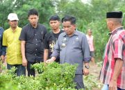 Cabai Petani Desa Lentu Terserang Virus Trips, Pj Bupati Perintahkan BPTH Sulsel Segera Turun Tangan