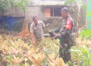 Babinsa Koramil 2304/Anyer, Bintahwil Pendampingan Perawatan Tanaman Hias