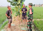 Babinsa Koramil 2301/Cilegon, Puan Ter Sosialisasi Pengoperasian