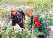 Babinsa Koramil 2306/Mancak, Bintahwil Membantu Kegiatan Ketapang