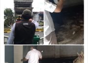 Bangunan 4 Lantai Miring di Pangkalpinang Jadi Sorotan: Pemkot dan LSM Desak Penyelesaian Cepat