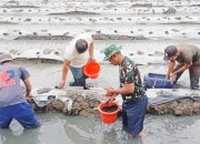 Babinsa Koramil 2302/Bojonegara, Bintahwil Pendampingan Pengelolaan Lahan