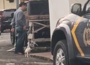 Muncul Nama Baru dalam Dugaan Pemodal 17 Ton Timah Ilegal: BG dan AS Damar