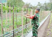 Babinsa Koramil 2301/Cilegon, Komsos Membahas Tentang Pembibitan Tanaman