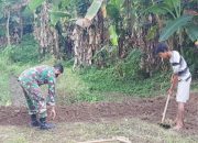 Babinsa Koramil 2306/Mancak, Bintahwil Membantu Kegiatan Ketapang