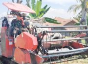 Babinsa Koramil 2301/Cilegon, Puan Ter Pendistribusian Bibit Palawija