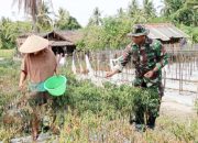 Babinsa Koramil 2305/Cinangka, Bintahwil Pendampingan Tanaman Cabe