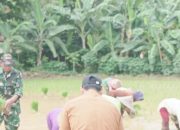 Babinsa Koramil 2302/Bojonegara, Bintahwil Pendampingan Pengelolaan Lahan