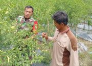 Babinsa Koramil 2305/Cinangka, Bintahwil Pendampingan Perawatan