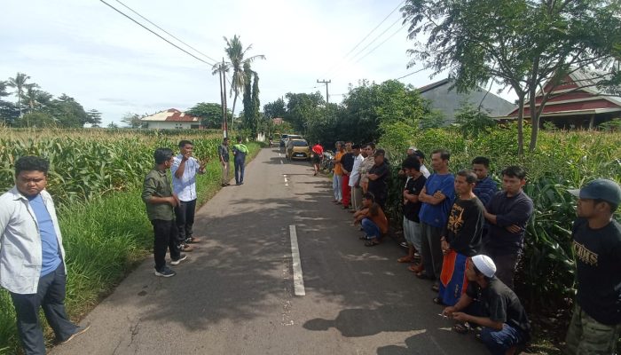 3 Varitas Benih Dekalb unggul di Kecamatan Kelara