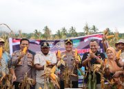 Dukung Program Ketahanan Pangan, Polres Maros Panen Raya Jagung di Desa Pucak