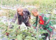 Babinsa Koramil 2306/Mancak, Bintahwil Membantu Kegiatan Ketapang