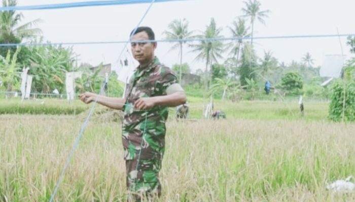 Babinsa Koramil 2301/Cilegon, Bintahwil Pembinaan dan Penatahan