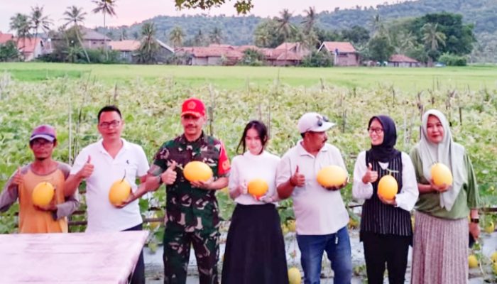 Pengusaha Muda Nina Marliana Mengapresiasi Perkembangan Pertanian Melon di Kota Cilegon