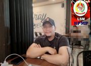 LSM desak aparat hukum usut dugaan pembalakan liar di Bangka Belitung.