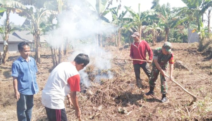 Babinsa Koramil 2304/Anyer, Karbak Pembersihan Lahan