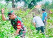 Babinsa Koramil 2303/Pulomerak, Karbak Penebangan Pohon