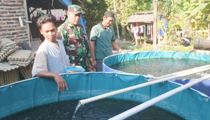 Babinsa Koramil 2306/Mancak, Bintahwil Ternak Ikan Lele