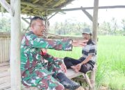 Babinsa Koramil 2304/Anyar, Komsos Membahas Tentang Kendala Padi