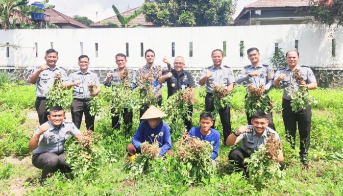 Lapas Cilegon Panen Kangkung, Kacang, dan Jagung: Ketahanan Pangan Jadi Nyata di Balik Tembok Pemasyarakatan