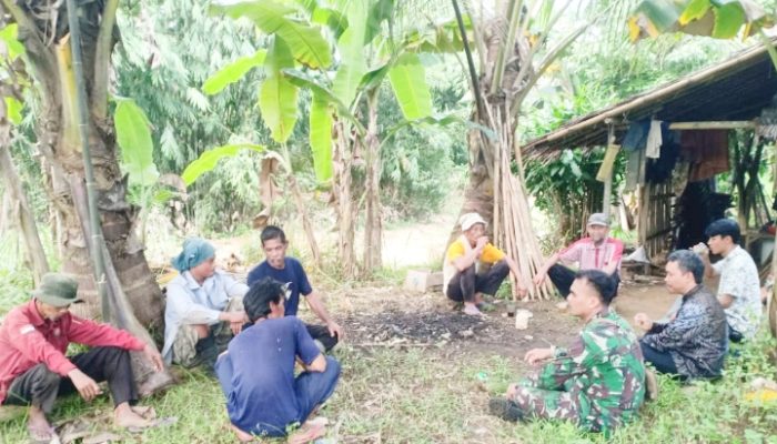 Babinsa Koramil 2304/Anyar Komsos Membahas Tentang Kendala Hama