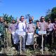 Wabup Takalar Lakukan Panen Raya Jagung bersama Forkopimda Takalar 