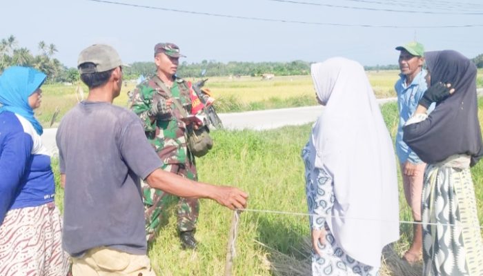 Babinsa Koramil 2304/Anyar, Puanter Pendataan Hasil Pertanian