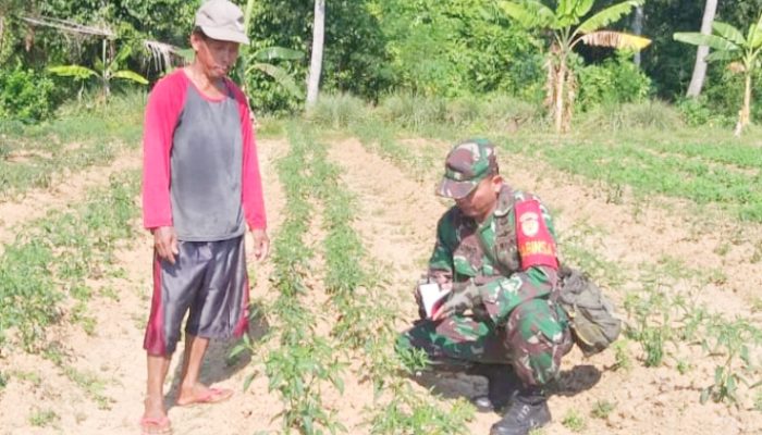 Babinsa Koramil 2304/Anyer, Puanter Pendataan Kendala Perawatan