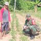 Babinsa Koramil 2304/Anyer, Puanter Pendataan Kendala Perawatan