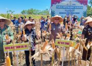 Wabup Takalar Dampingi Kapolda Sulsel Hadiri Panen Raya Jagung Serentak Kuartal II 2025: Dorong Ketahanan Pangan Lewat Program “1 Desa 1 Hektar”