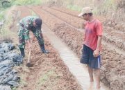 Babinsa Koramil 2306/Mancak, Giat Bintahwil Penyiapan Lahan Mentimun
