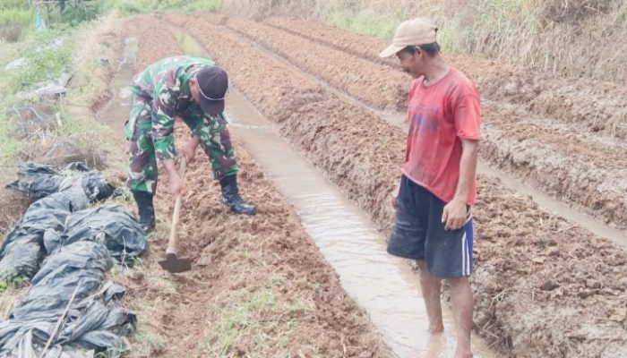 Babinsa Koramil 2306/Mancak, Giat Bintahwil Penyiapan Lahan Mentimun