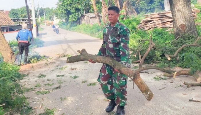 Babinsa Koramil 2306/Mancak, Karbak Membersihkan Ranting Pohon