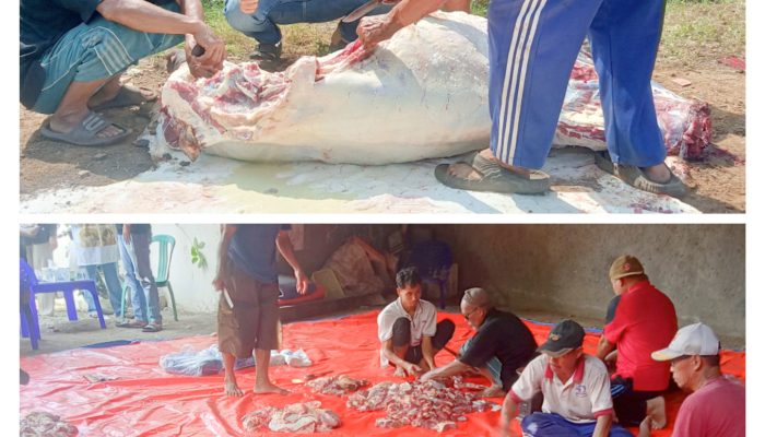 PT Karunia Awan Nusantara Berbagi Kebahagiaan Idul Adha Adakan Pemotongan Hewan Kurban